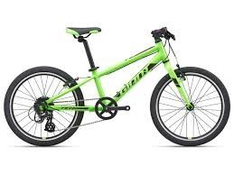 Cycle Planet Green inch20inch