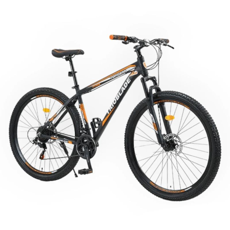 Cycle inch29inch
