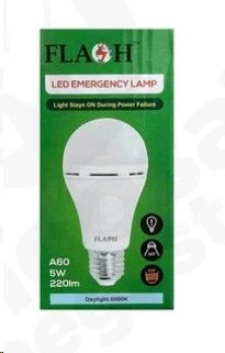 Flash Globe Screw In