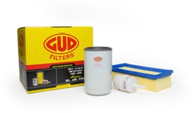 Vw Golf 1.4 Carb Filter Kit11