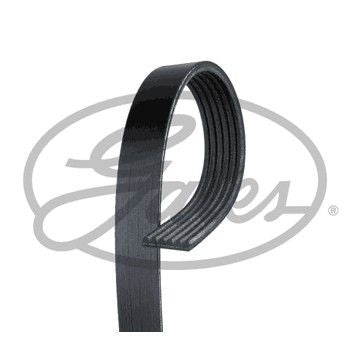 Fan Belt 6Pk1103
