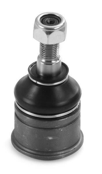 Lower Ball Joints
