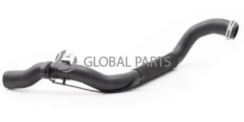 Hose Radiator Lower