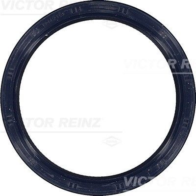 Oil Seal
