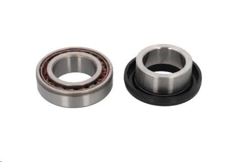 Wheel Bearing Kit Rr