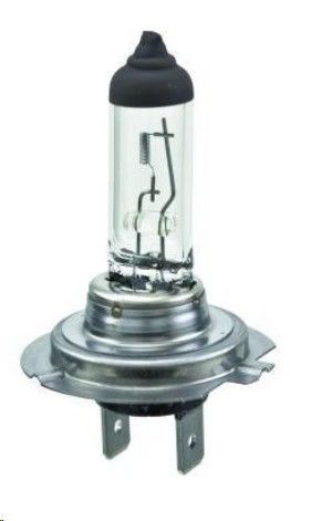 Hella Globe Std 12V 55W