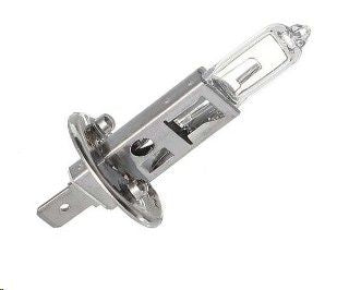 Globe 12V 55W H1