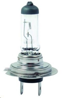 Globe H7 12V 55W