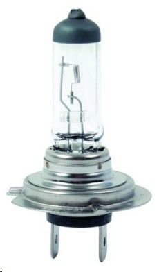 Globe Qi 12V 55W H7