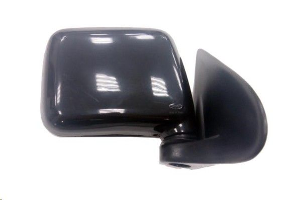 Door Mirror