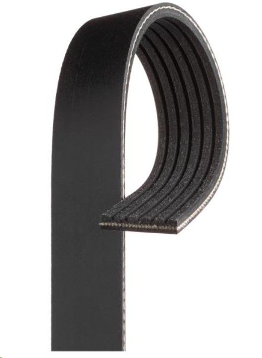 Multi V Belt 6Pk1255