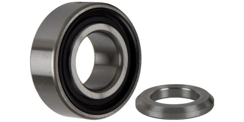 Wheel Bearing Rr Bbs